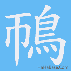 《鳾》的筆順動畫寫字動畫演示