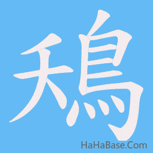《鴁》的筆順動畫寫字動畫演示