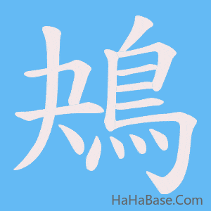 《鴂》的筆順動畫寫字動畫演示