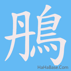 《鴅》的筆順動畫寫字動畫演示