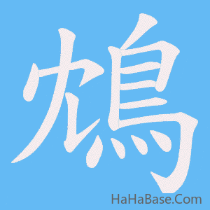 《鴆》的筆順動畫寫字動畫演示