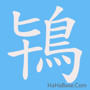 《鴇》的筆順動畫寫字動畫演示