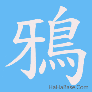 《鴉》的筆順動畫寫字動畫演示