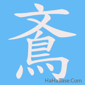 《鴍》的筆順動畫寫字動畫演示