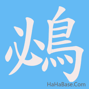 《鴓》的筆順動畫寫字動畫演示