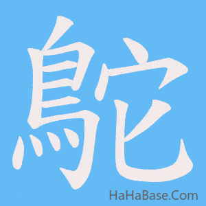 《鴕》的筆順動畫寫字動畫演示