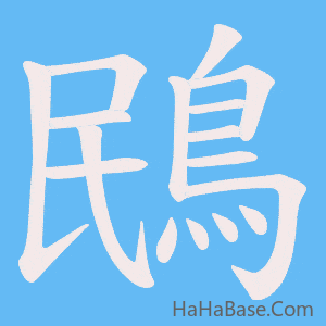 《鴖》的筆順動畫寫字動畫演示