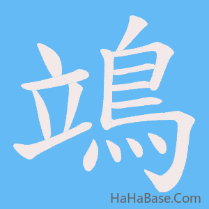 《鴗》的筆順動畫寫字動畫演示