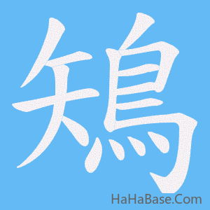 《鴙》的筆順動畫寫字動畫演示