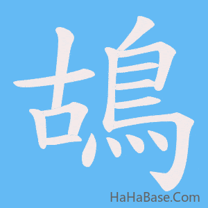 《鴣》的筆順動畫寫字動畫演示