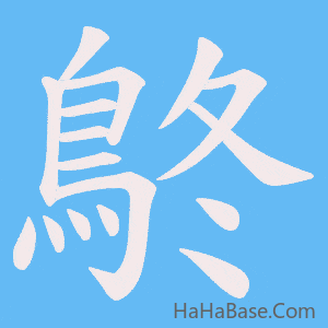 《鴤》的筆順動畫寫字動畫演示
