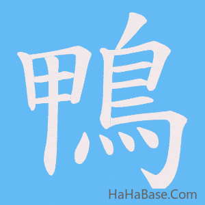 《鴨》的筆順動畫寫字動畫演示