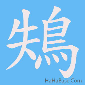 《鴩》的筆順動畫寫字動畫演示