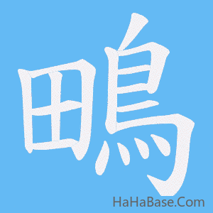 《鴫》的筆順動畫寫字動畫演示