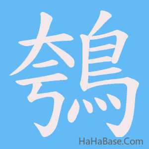 《鴮》的筆順動畫寫字動畫演示