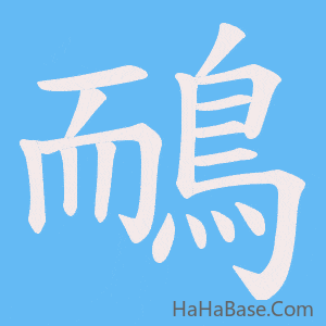 《鴯》的筆順動畫寫字動畫演示
