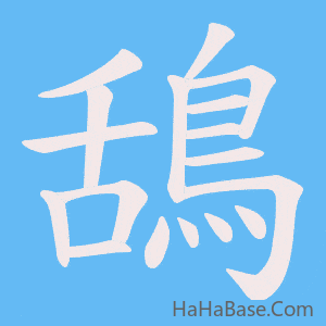 《鴰》的筆順動畫寫字動畫演示
