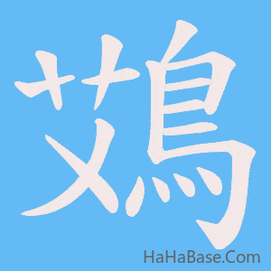 《鴱》的筆順動畫寫字動畫演示