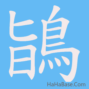 《鴲》的筆順動畫寫字動畫演示