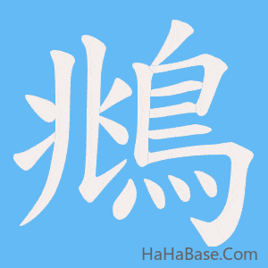 《鴵》的筆順動畫寫字動畫演示