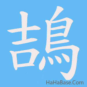 《鴶》的筆順動畫寫字動畫演示