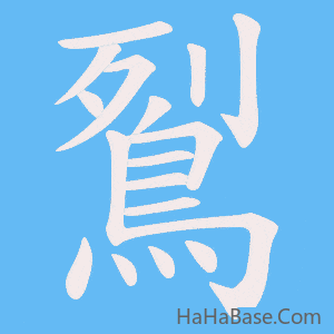 《鴷》的筆順動畫寫字動畫演示