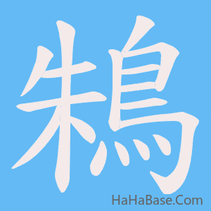 《鴸》的筆順動畫寫字動畫演示