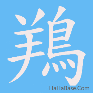 《鴹》的筆順動畫寫字動畫演示