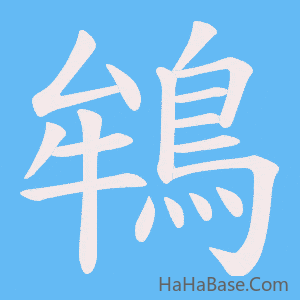 《鴾》的筆順動畫寫字動畫演示