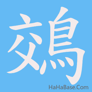 《鵁》的筆順動畫寫字動畫演示