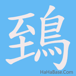 《鵄》的筆順動畫寫字動畫演示