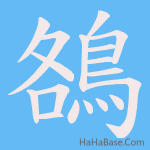 《鵅》的筆順動畫寫字動畫演示
