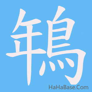 《鵇》的筆順動畫寫字動畫演示