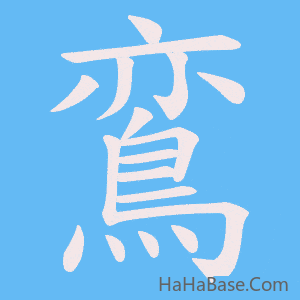 《鵉》的筆順動畫寫字動畫演示