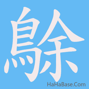 《鵌》的筆順動畫寫字動畫演示