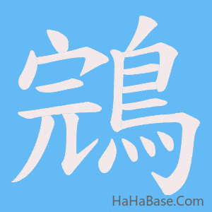 《鵍》的筆順動畫寫字動畫演示