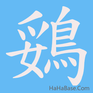《鵎》的筆順動畫寫字動畫演示