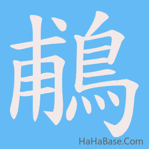 《鵏》的筆順動畫寫字動畫演示