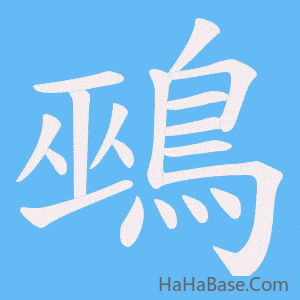 《鵐》的筆順動畫寫字動畫演示