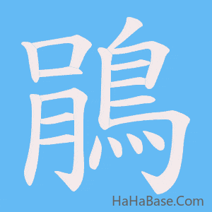《鵑》的筆順動畫寫字動畫演示