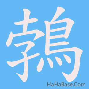 《鵓》的筆順動畫寫字動畫演示