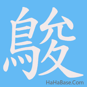 《鵔》的筆順動畫寫字動畫演示