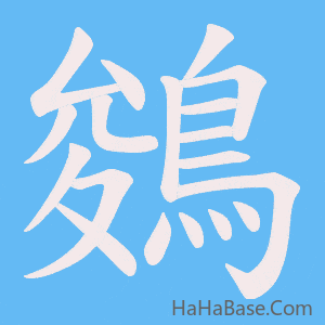 《鵕》的筆順動畫寫字動畫演示