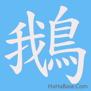 《鵝》的筆順動畫寫字動畫演示