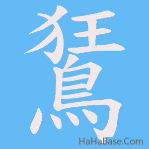 《鵟》的筆順動畫寫字動畫演示