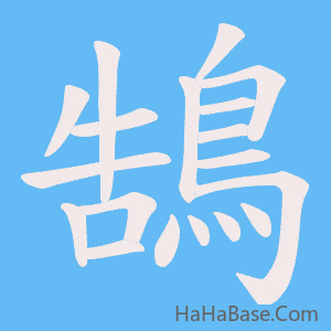 《鵠》的筆順動畫寫字動畫演示