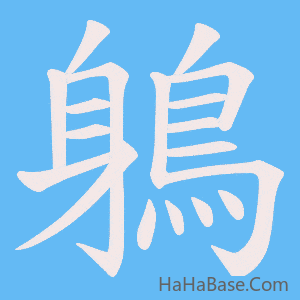 《鵢》的筆順動畫寫字動畫演示