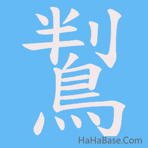 《鵥》的筆順動畫寫字動畫演示