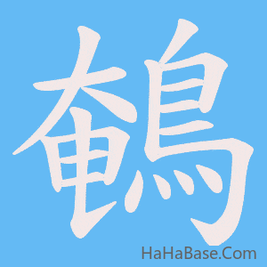 《鵪》的筆順動畫寫字動畫演示
