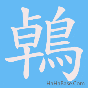 《鵫》的筆順動畫寫字動畫演示